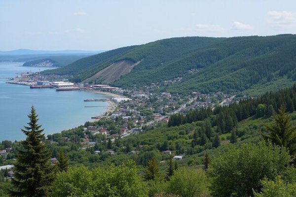 Tree service in Duluth, MN